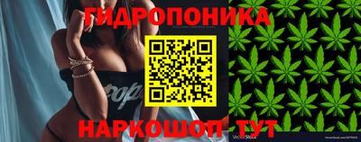 а пвп мука Брянск