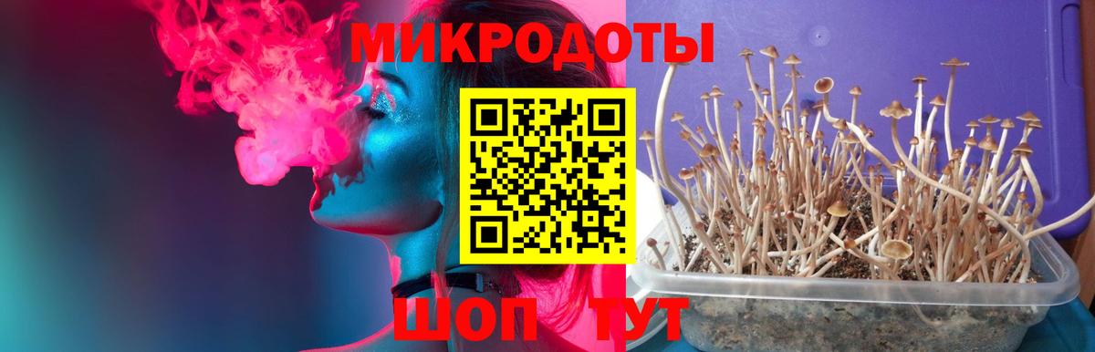 Псилоцибиновые грибы Magic Shrooms  Вход с VPN  Карачаевск  Псилоцибиновые грибы MAGIC MUSHROOMS 